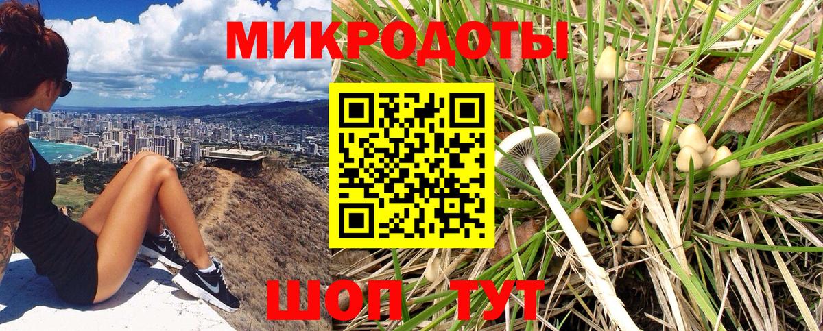 Псилоцибиновые грибы мухоморы Нижний Тагил